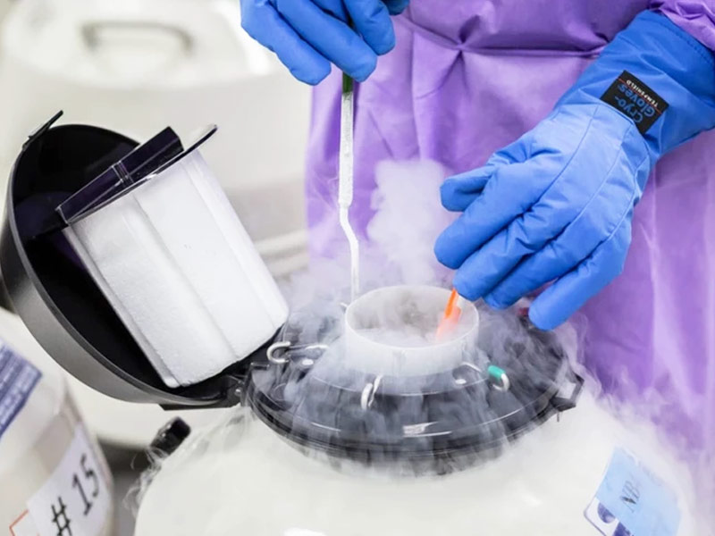 Egg Freezing: 7 things You Need To Know About About Egg Freezing From A Specialist 