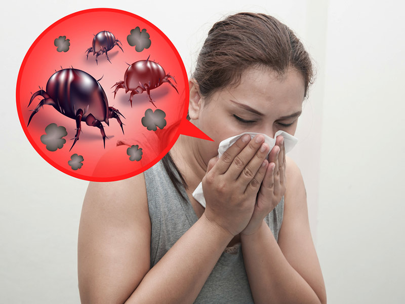 Dust Mite Allergy: Symptoms, Causes, Risk Factors And Complications