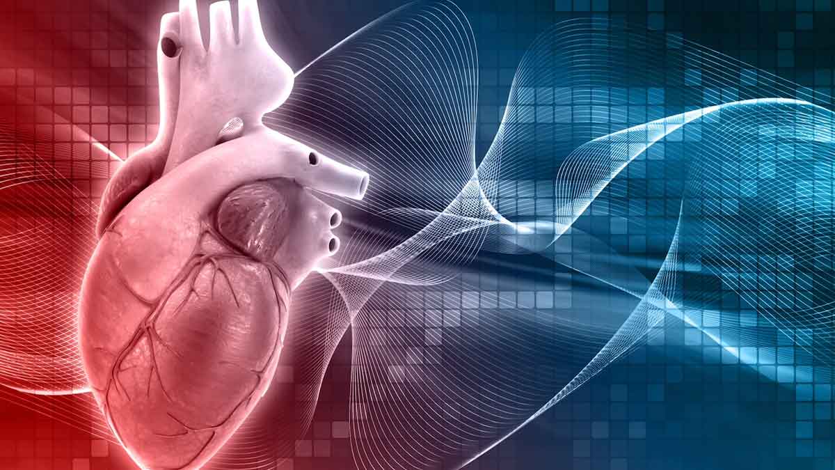 23 Interesting Facts About The Heart