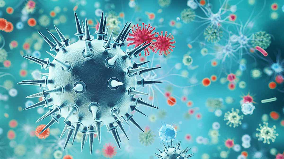 Expert Talk: Symptoms And Treatment For H1N1 Flu