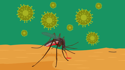 What Is Zika Virus? Know The Symptoms, Causes, Treatment, And Prevention 