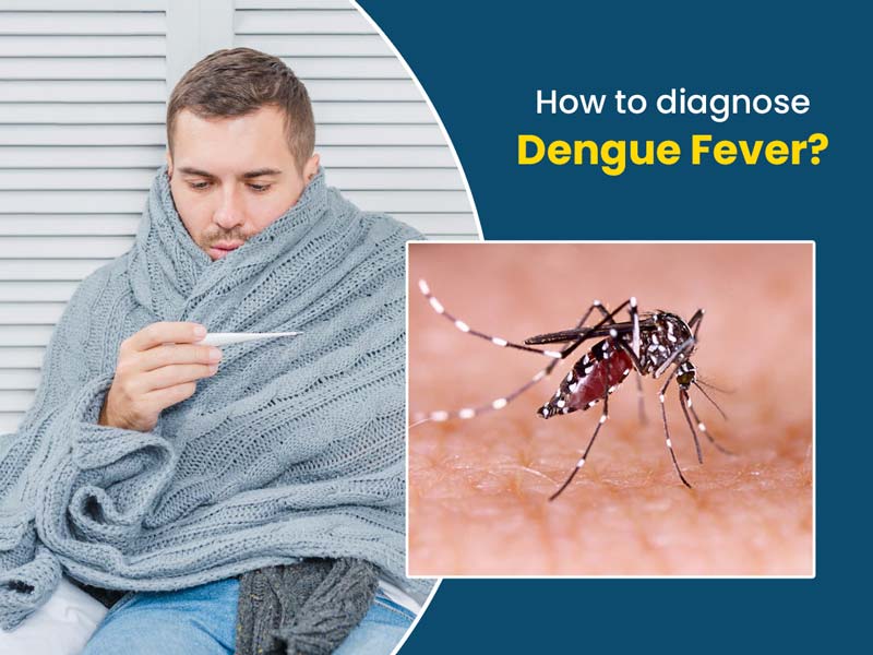 National Dengue Day 2022: Ways To Diagnose Dengue Fever?