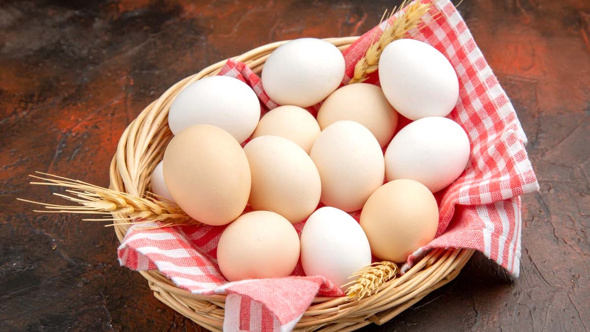 Benefits Of Adding Eggs To Your Breakfast