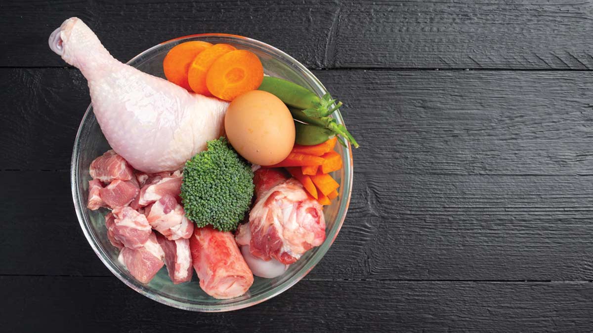 Eat More Protein To Reduce The Risk Of Obesity, Study Suggests 