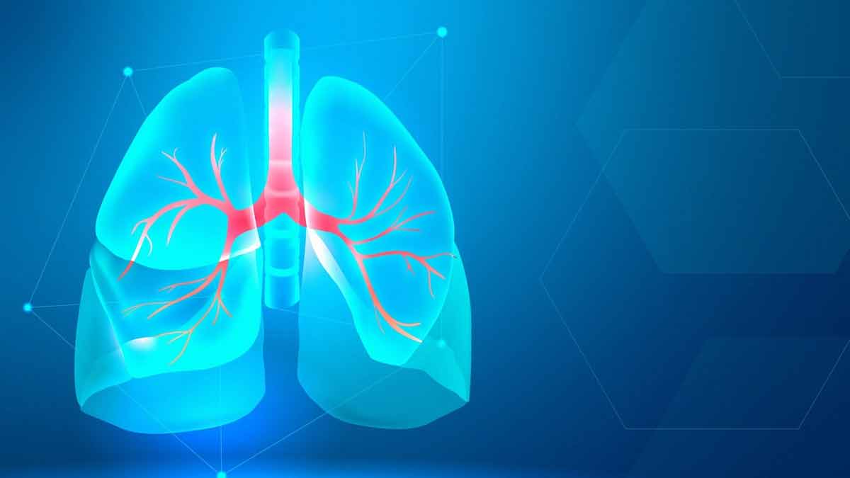 Expert Talk: Impact Of Air Pollution On Lungs