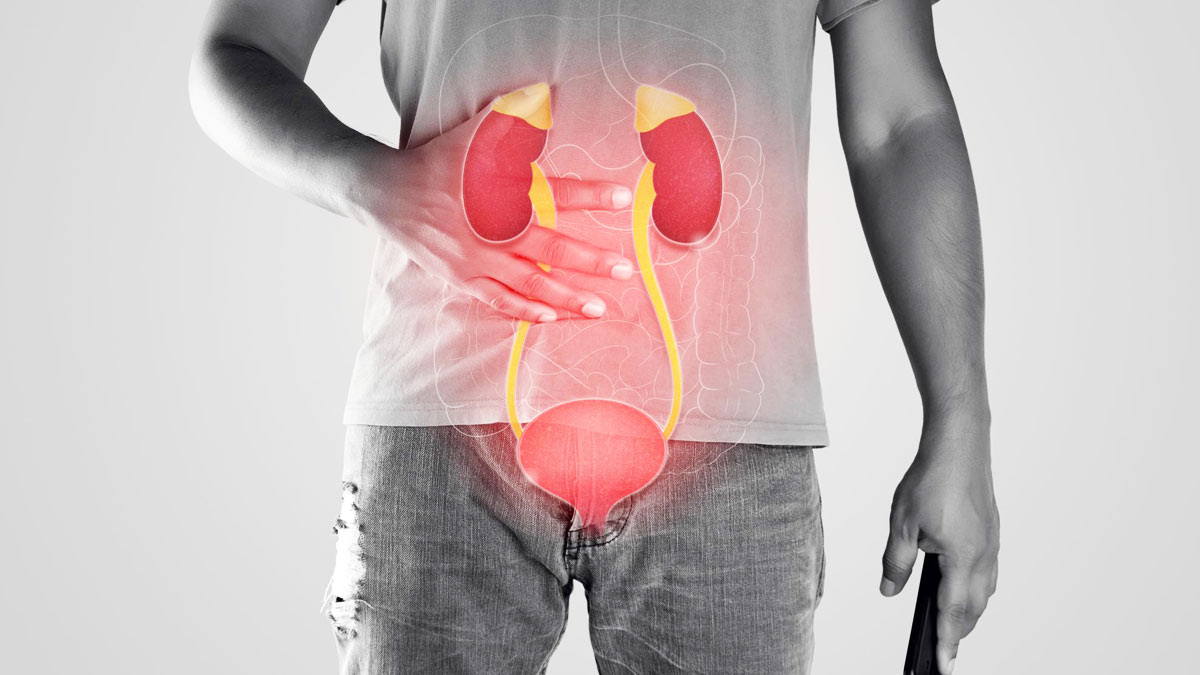 6 Tips To Keep Your Kidney Healthy