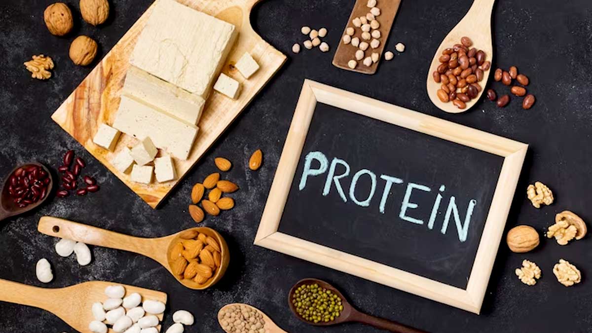 Protein In Diet: Importance & Foods To Incorporate