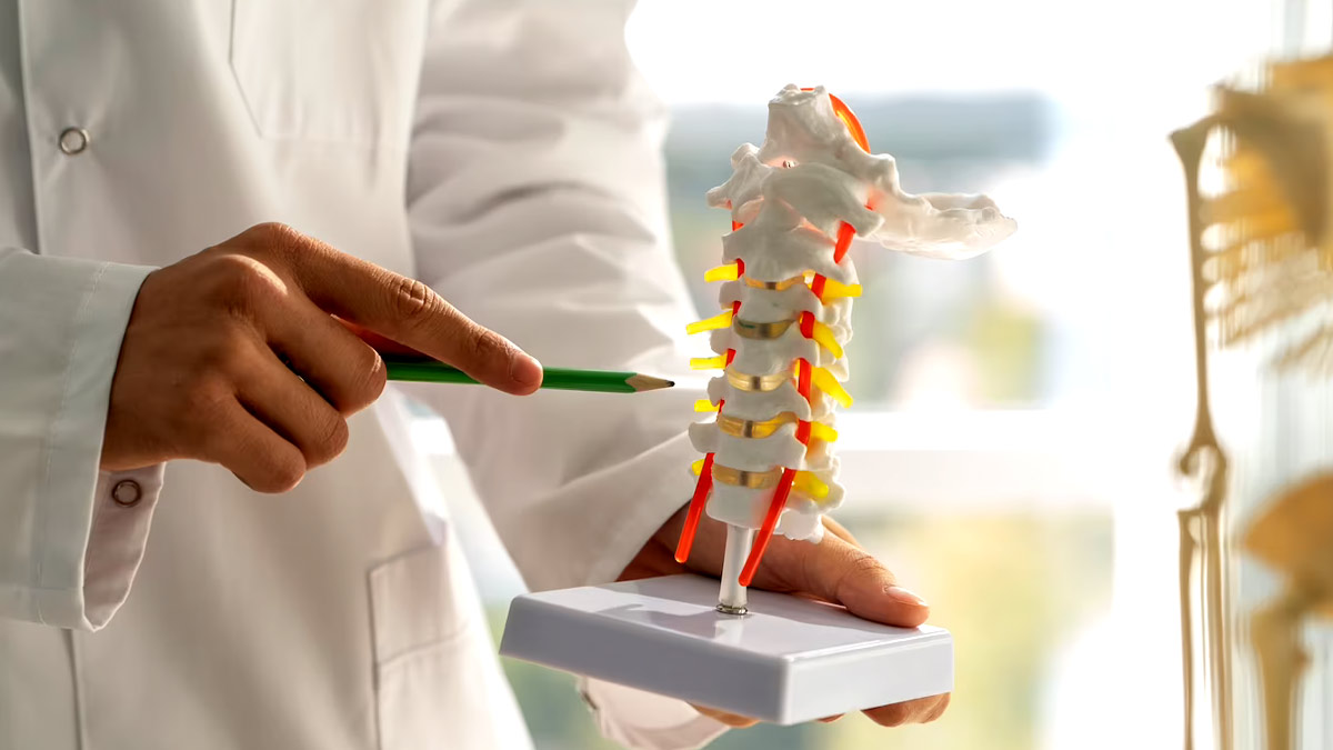National Bone And Joint Day 2023: 10 Tips To Maintain Bone And joint Health