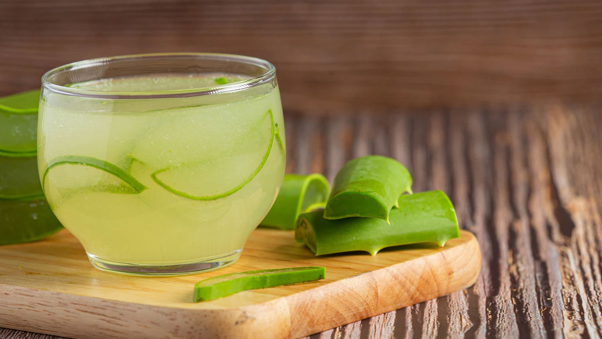 Winter Wellness: Harnessing the Health Benefits of Aloe Vera | OnlyMyHealth