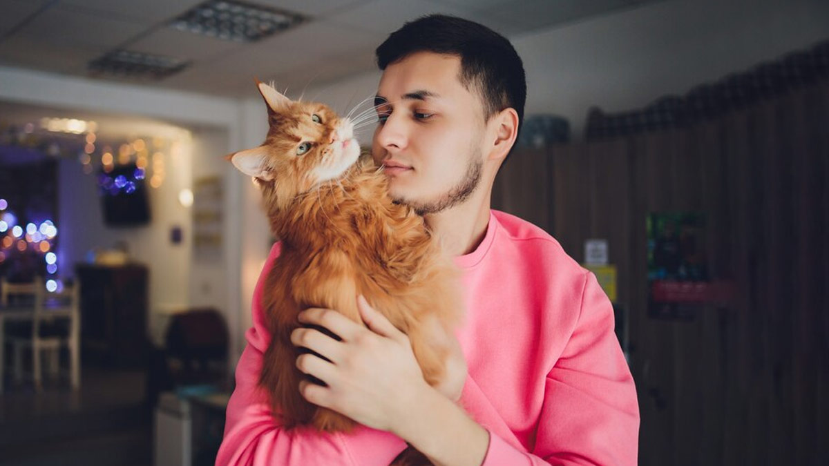 Does Cat Ownership Increase the Risk of Schizophrenia? Recent Study Sparks Concerns About Mental Health Impact