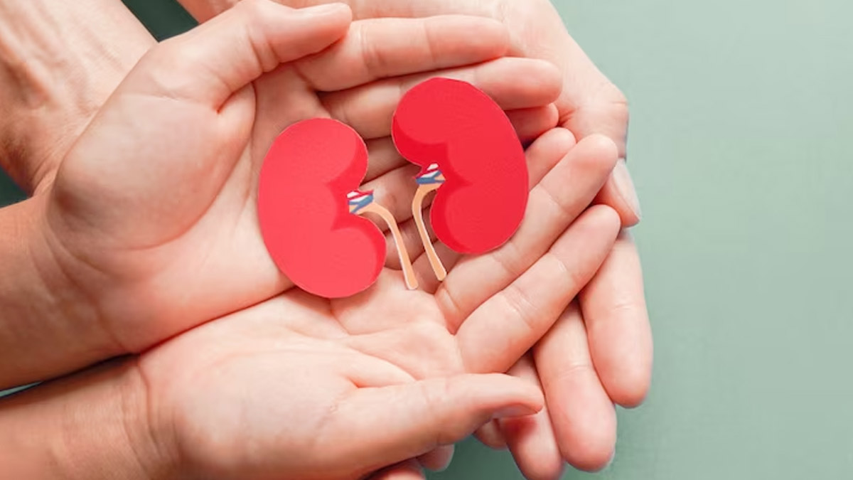 Signs Of Polycystic Kidney Disease