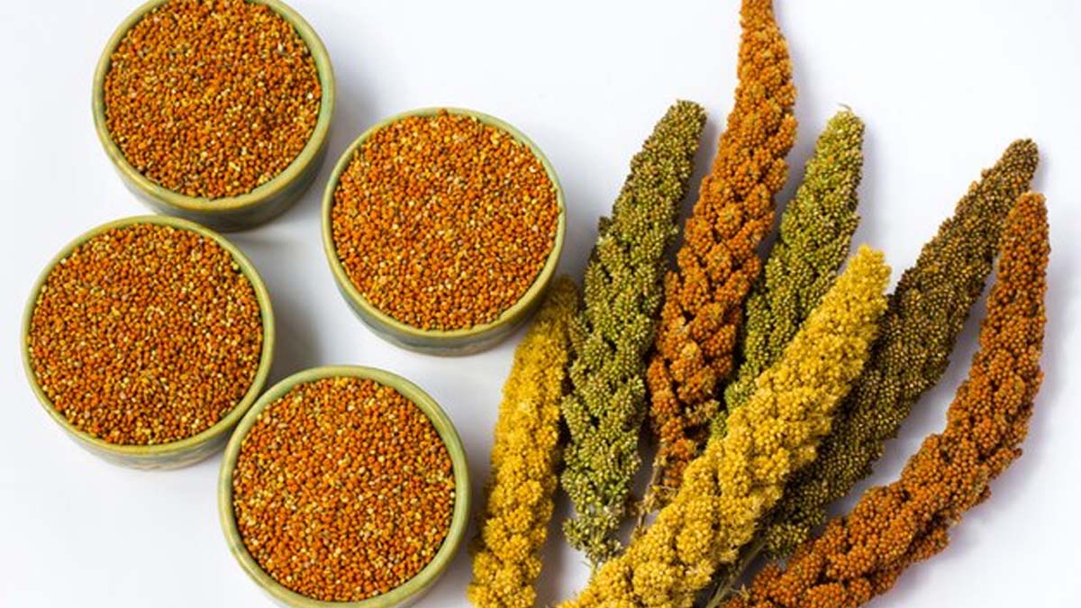 Best Millets to Consume for Lowering Blood Sugar Levels | OnlyMyHealth