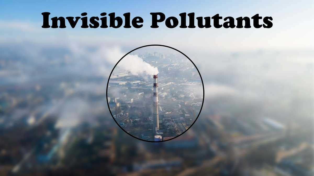 Invisible Pollutants: How Microplastics Are Stealthily Entering Our Food Chain