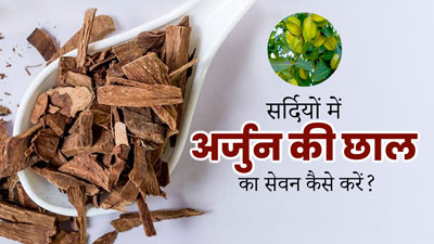 सर्दियों में अर्जुन की छाल का सेवन कैसे करें? जानें 4 तरीके, जिनसे होगा मौसमी बीमारियों से बचाव