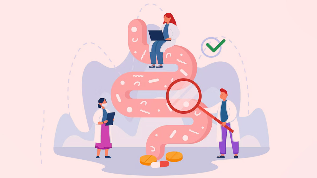 Digestive Harmony: Expert Explains Role Of Gut Microbe And Personalised Approaches To Gut Health