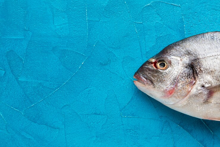 World Tuna Day 2024: Is Eating Tuna Healthy For You? Expert Decodes