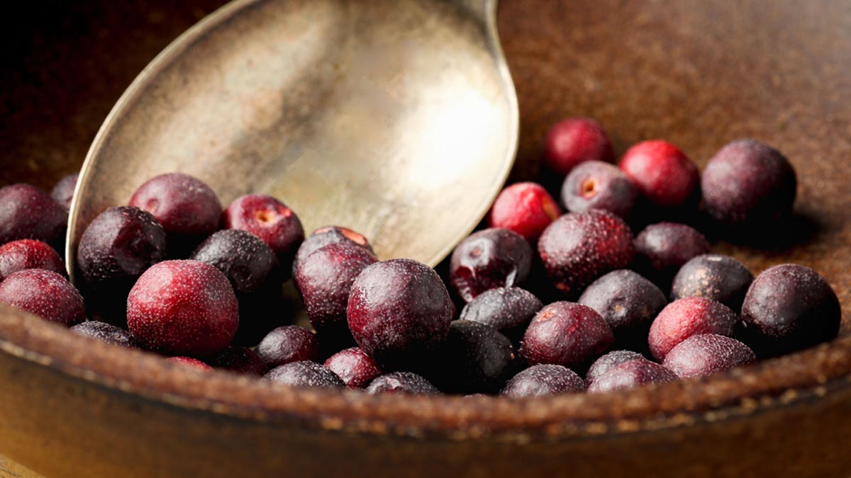 Summer Diet: 10 Benefits Of Eating Falsa In This Season