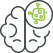 Brain