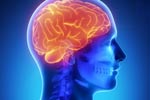 What are Pituitary Tumours?