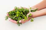 Natural Cure for Spider Veins