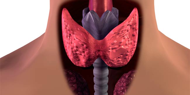 What are the Risks of Thyroidectomy?
