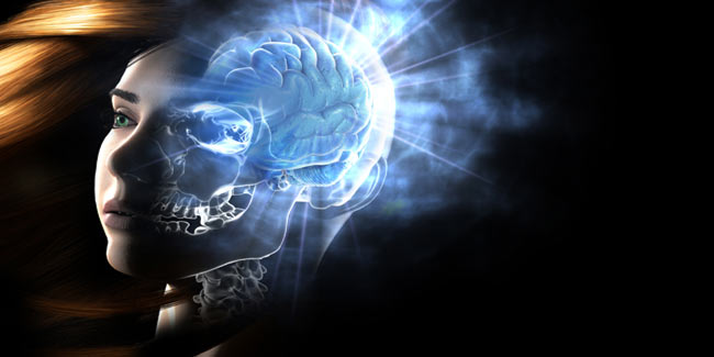 Human Brain Allows Us to See in Dark Too
