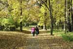 A Walk in the Park Every Day Cuts Breast Cancer Risk in Older Women