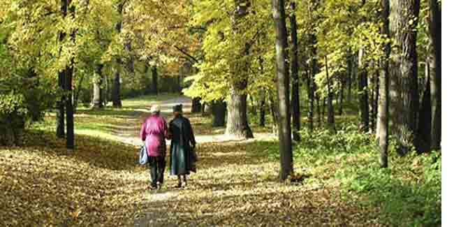 A Walk in the Park Every Day Cuts Breast Cancer Risk in Older Women