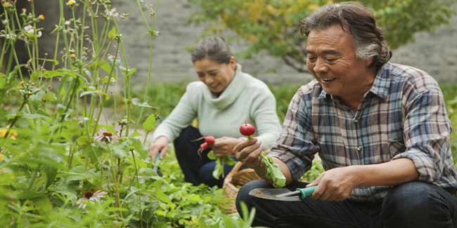 “His” Diet- Recommended Nutritional Needs for Men 
