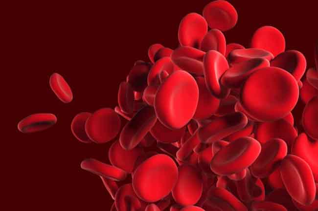 best-foods-to-boost-red-blood-cell-count