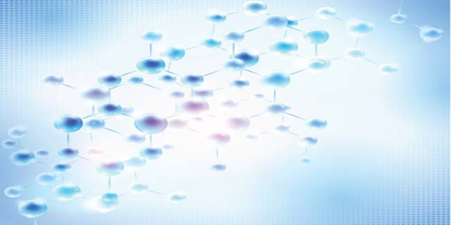 What are the risks of Whipples Disease?