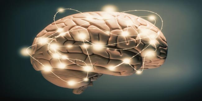 What is Dyssynergia Cerebellaris Myoclonica?
