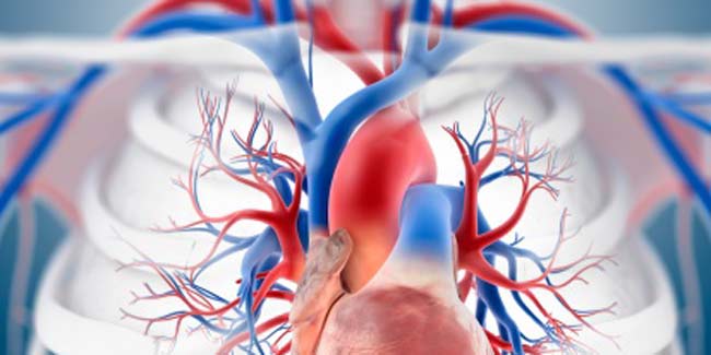 What are the causes of Superior Vena Cava Syndrome in Children?