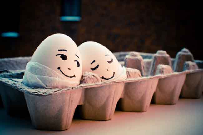 Interesting Facts About Egg in Hindi | अंडे के बारे में जानिये रोचक तथ्य