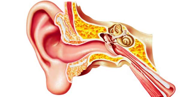 The Many Kinds of Vestibular Disorders