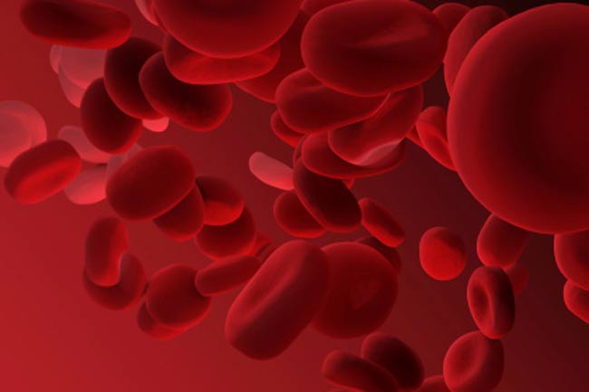 7 Interesting Facts about Blood