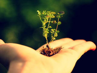 अर्थ डे : 5 कारणों से पर्यावरण हमारी सेहत को कर रहा प्रभावित