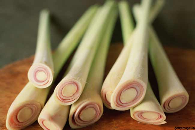 health-benefits-of-lemongrass-in-hindi