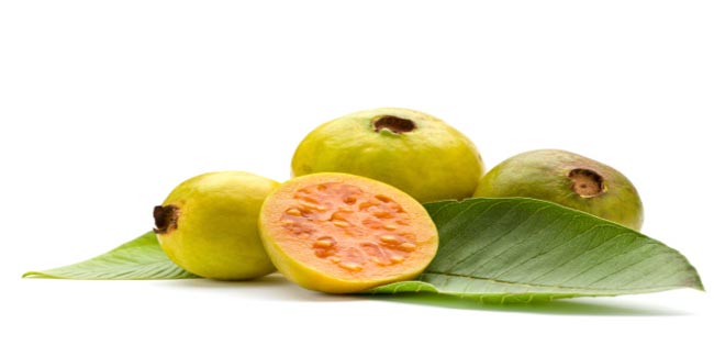 मधुमेह में फायदेमंद है अमरूद का सेवन