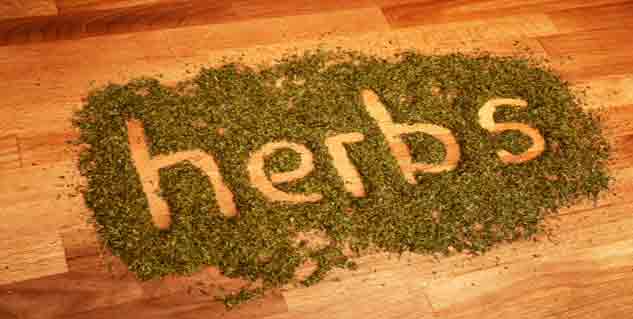 avoid herbs in pregnancy 