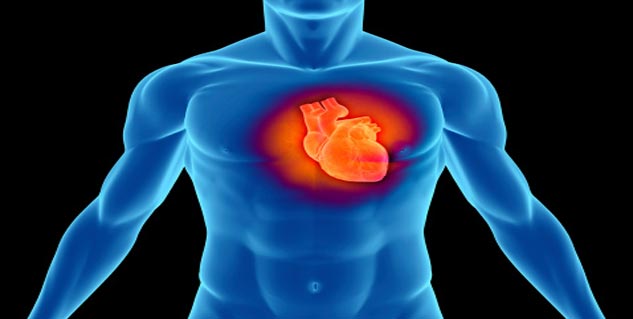 Heart volve in hindi