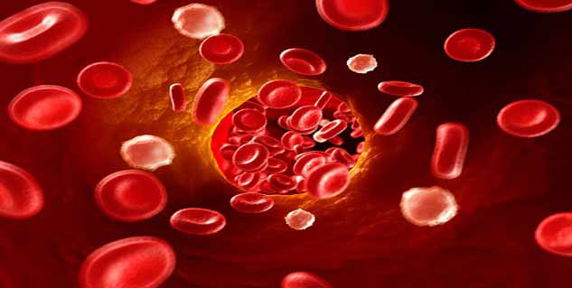 blood circulation in hindi 