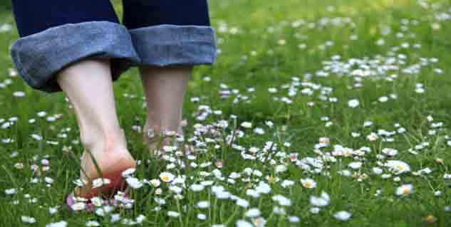 green therapy in hindi 