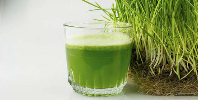Wheatgrass for Diabetes