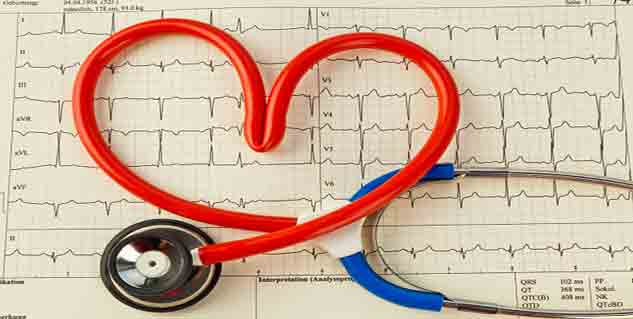 heart in hindi 