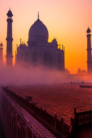 Pollotion in India in Hindi