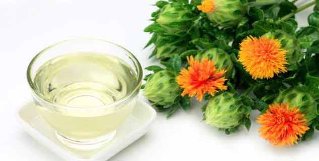 safflower oil in hindi 