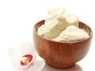 Benefits of shea butter for hair