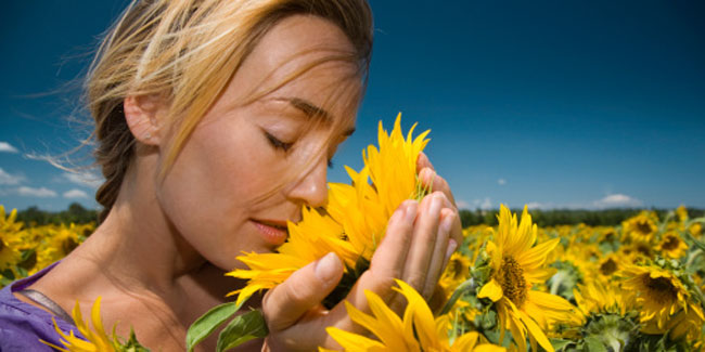 If you have lost your sense of smell, you may be about to die