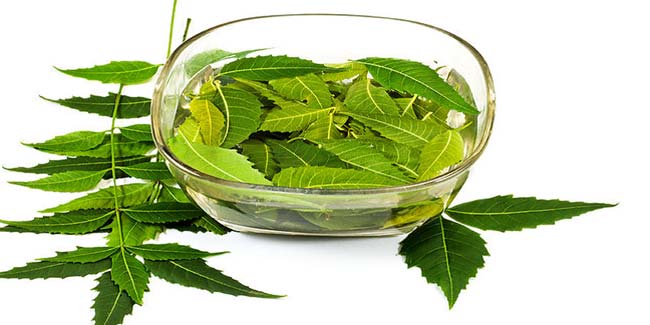 Do not play down the neem power, it has numerous benefits